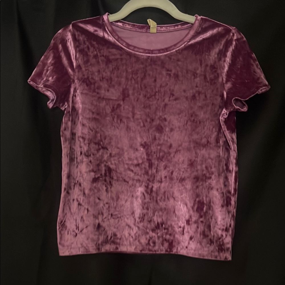 Velvet Short Sleeve Top in Purple